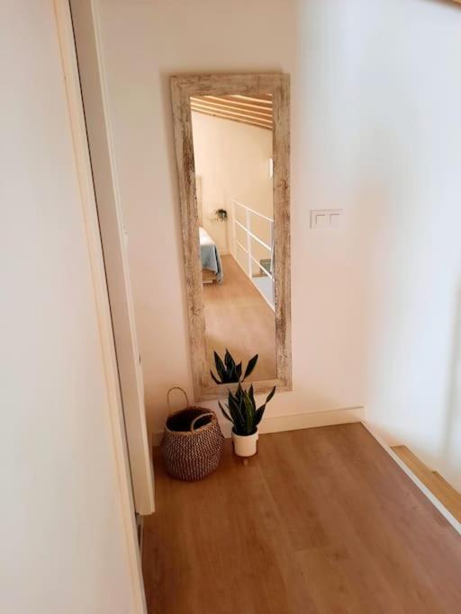 Loft Centrico Con Patio Bodega San Javier Daire Jerez de la Frontera Dış mekan fotoğraf