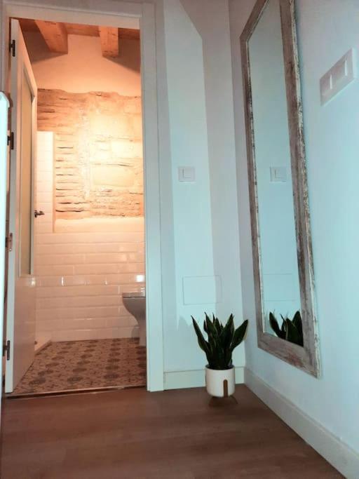 Loft Centrico Con Patio Bodega San Javier Daire Jerez de la Frontera Dış mekan fotoğraf